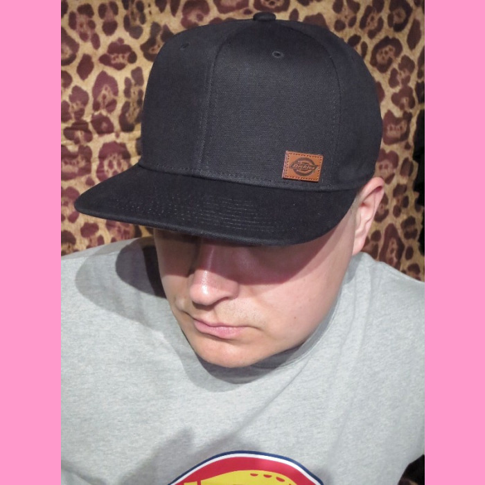 dickies minnesota cap